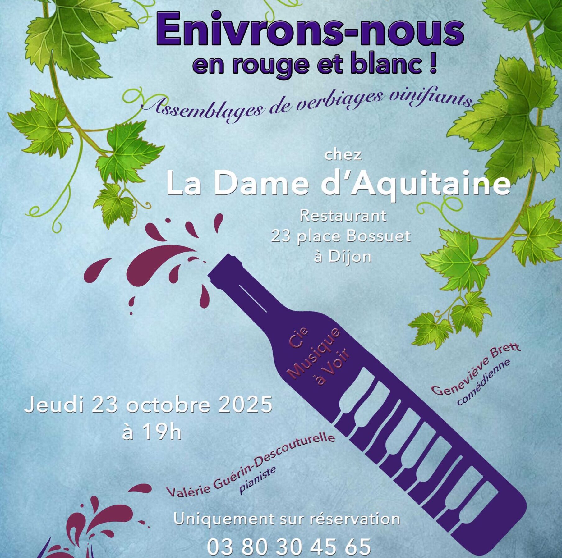 Affiche Phoenix 2024 BD